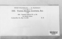 Image Associated With the Occurence